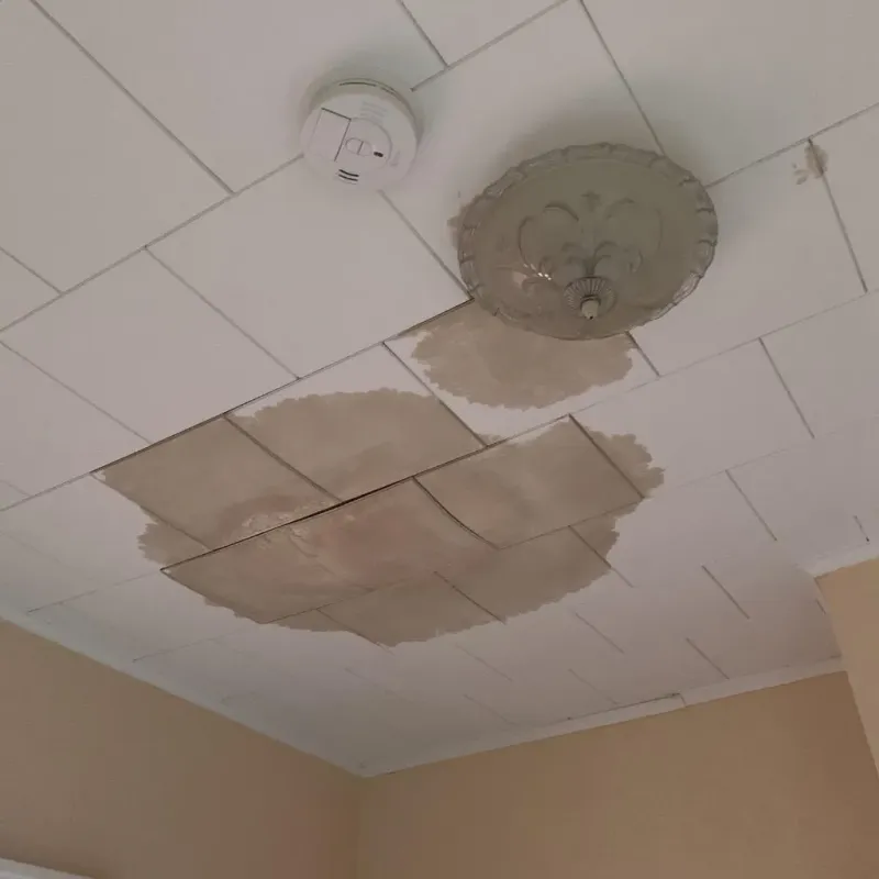 Ceiling Water Damage Repair in Sandwich, NH