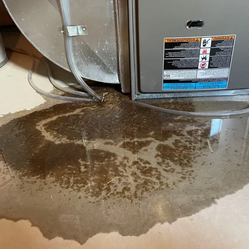 Pipe Burst and Leak Restoration in Sandwich, NH